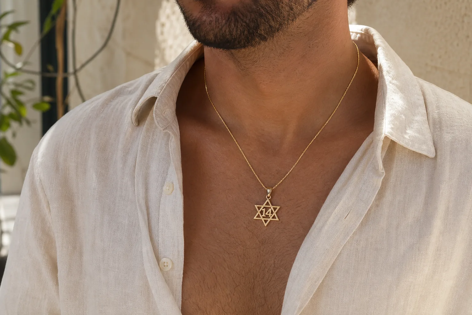 תליון מגן 14, צילום חוץ